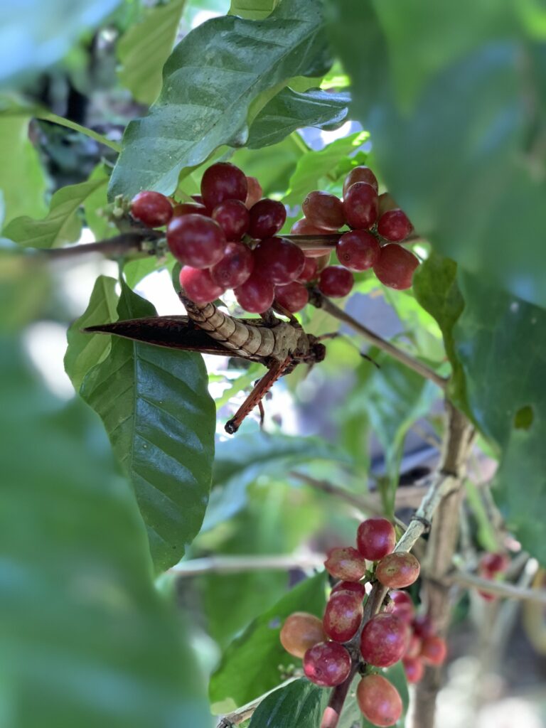 IMG_0615(Edited)