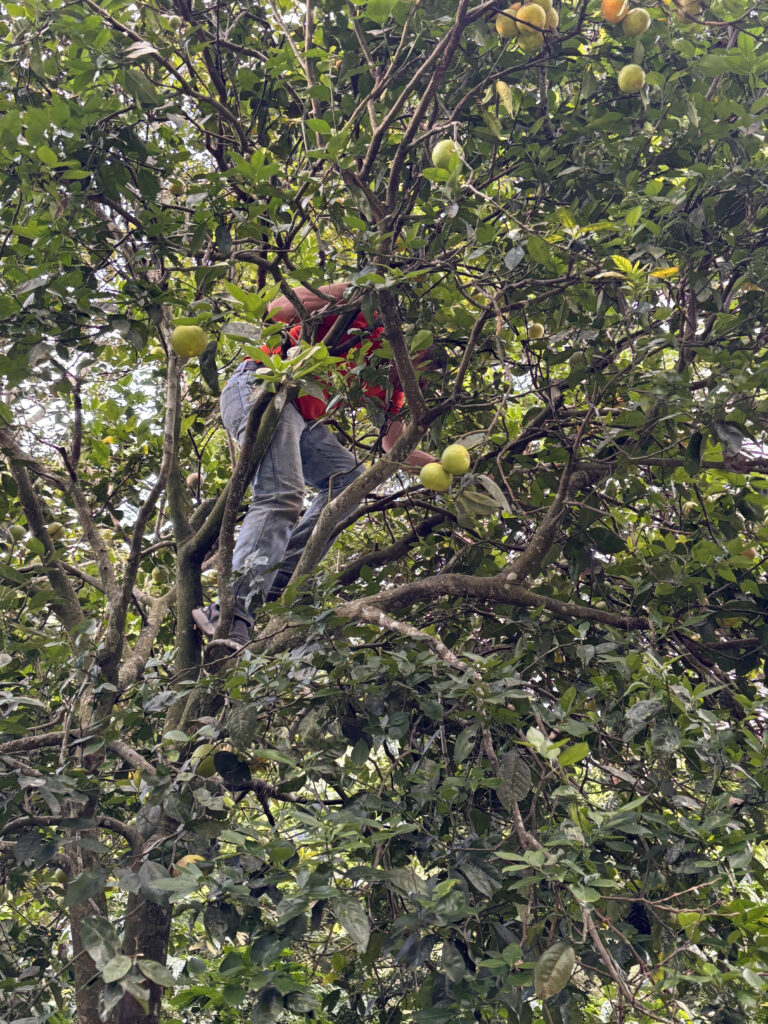 IMG_9816