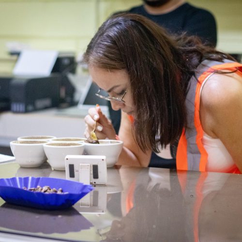 b250641b-b3f6-4630-97cf-8341ac0023b0